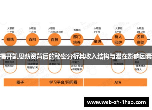 揭开凯恩薪资背后的秘密分析其收入结构与潜在影响因素