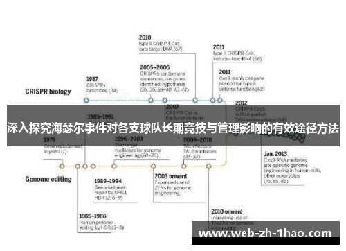 深入探究海瑟尔事件对各支球队长期竞技与管理影响的有效途径方法