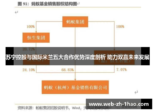 苏宁控股与国际米兰五大合作优势深度剖析 助力双赢未来发展 苏宁控股与国际米兰五大合作优势深度剖析 助力双赢未来发展