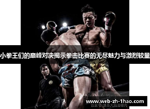 小拳王们的巅峰对决揭示拳击比赛的无尽魅力与激烈较量
