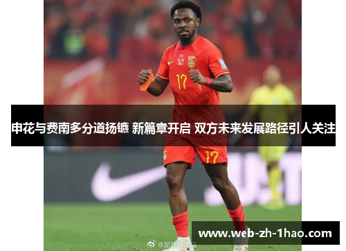 申花与费南多分道扬镳 新篇章开启 双方未来发展路径引人关注
